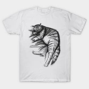 Fat Cat Sleeping T-Shirt